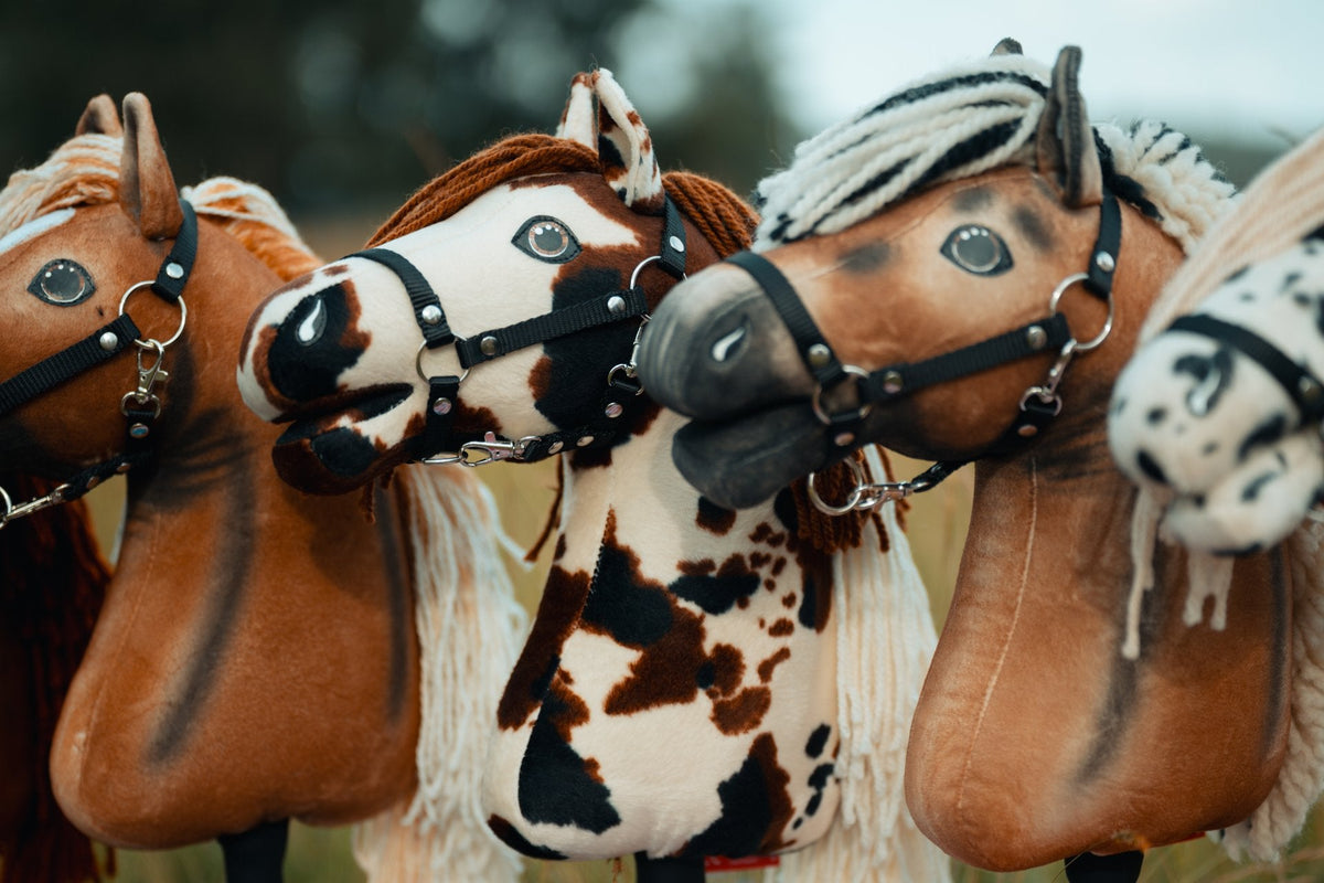 Hobby Horses s černými ohlávkami na americkém mistrovství Hobby Horse