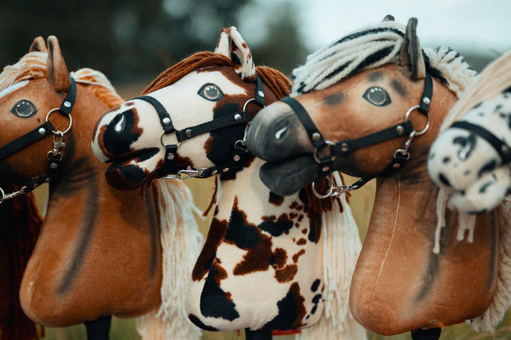 Hobby Horses s černými ohlávkami na americkém mistrovství Hobby Horse