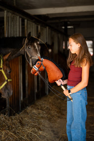Dívka v tmavě červeném tričku stojí v uličce stáje a drží Hobby Horse Rocky od Hobby Horse LarDen, zatímco z boxů přihlížejí skuteční koně, s ryzákově hnědou plyšovou hlavou, bílou lysinou a černou přízovou hřívou, s kompletní černou uzdečkou s kožešinou a otěžemi