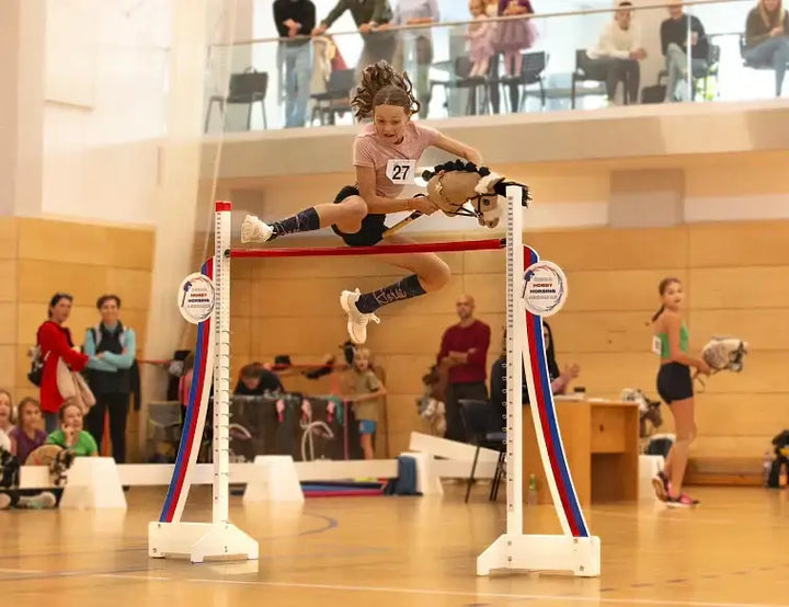 Sportovní disciplíny v Hobby Horsing
