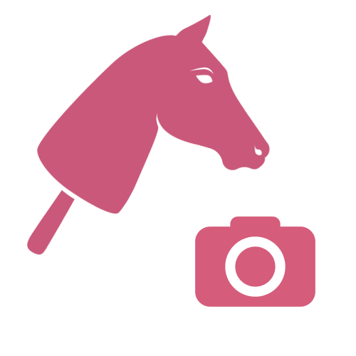 Růžová ilustrace hlavy Hobby Horse na tyči nad růžovou ikonou fotoaparátu na světle šedém pozadí.