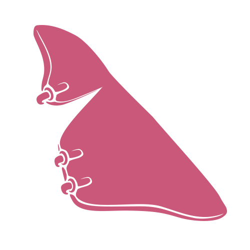 Minimalistická ilustrace růžové ruky tvořící písmeno B v americkém znakovém jazyce na světle šedém pozadí.