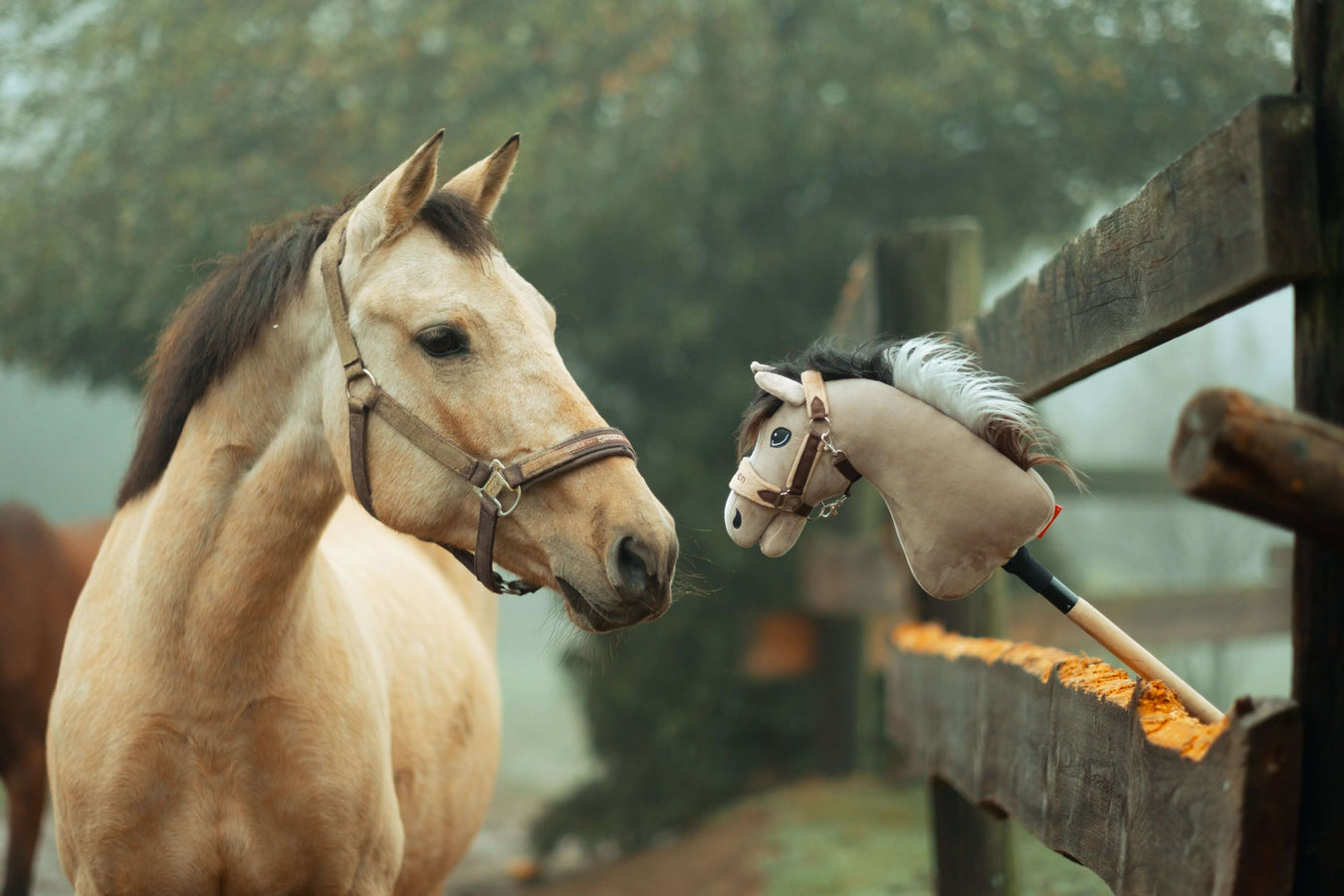 Plavý kůň s ohlávkou zvědavě hledí na Hobby Horse opřeného o dřevěný plot venku za mlhavého dne. V pozadí jsou vidět stromy a další kůň, což navozuje hravého ducha Hobby Horsing.