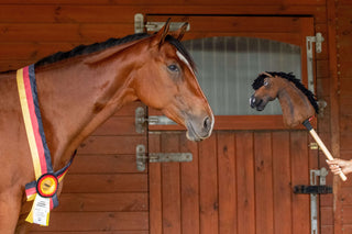 Hobby Horse Koník podle fotografie