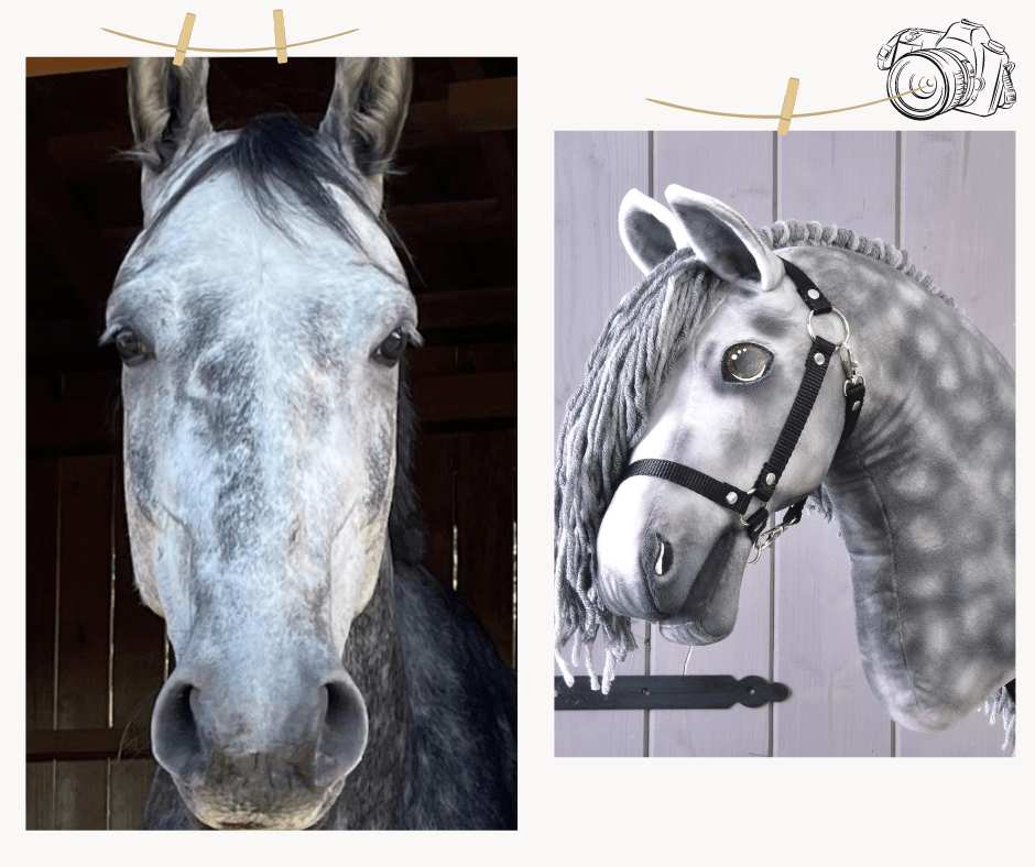 Fotografie vedle sebe: skutečný šedý kůň s tmavou hřívou vlevo a zakázková hračka Hobby Horse LarDen „Hobby Horse Koník podle fotografie“ s přízovou hřívou a uzdečkou vpravo, oba čelem dopředu před dřevěným pozadím.