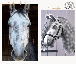 Hobby Horse Koník podle fotografie
