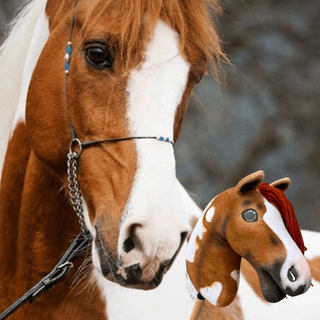 Hobby Horse Koník podle fotografie