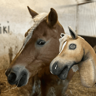 Hobby Horse Koník podle fotografie