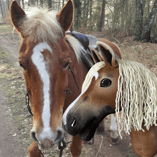 Hobby Horse Koník podle fotografie