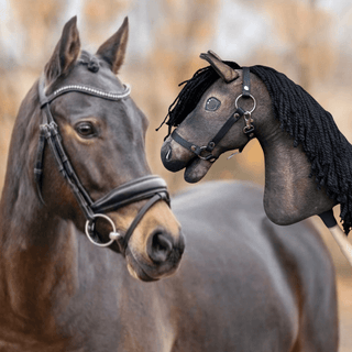 Hobby Horse Koník podle fotografie