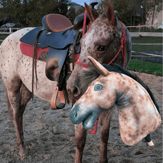 Hobby Horse Koník podle fotografie