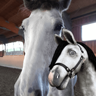 Hobby Horse Koník podle fotografie