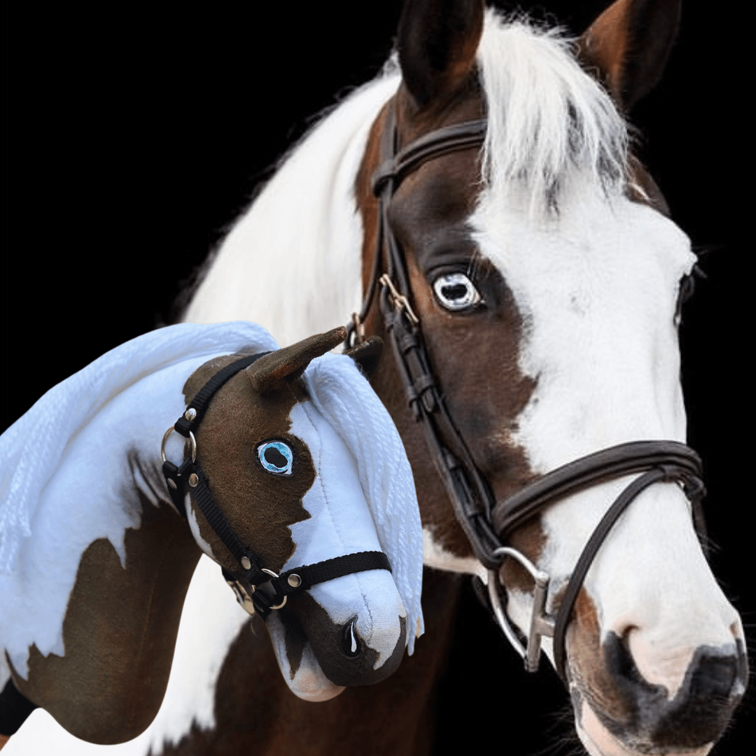Skutečný kůň s černobílou hlavou stojí vedle zakázkového Hobby Horse LarDen „Hobby Horse Koník podle fotografie“, oba s uzdečkami, na černém pozadí.