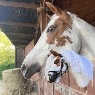 Hobby Horse Koník podle fotografie