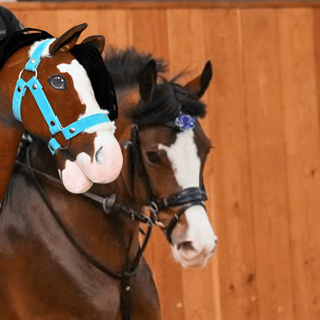 Hobby Horse Koník podle fotografie