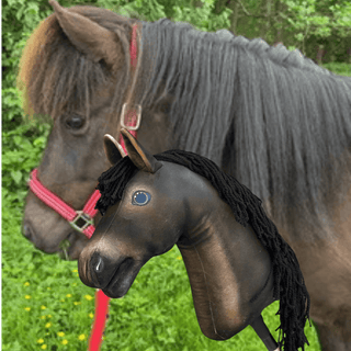 Hobby Horse Koník podle fotografie