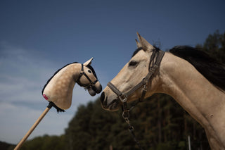Hobby Horse Koník podle fotografie