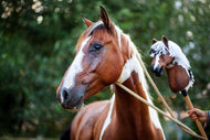 Hobby Horse Koník podle fotografie od Hobby Horse LarDen držený osobou vedle hnědobílého koně s lanovou ohlávkou. Oba stojí před zeleným rozmazaným listím. Tento Hobby Horse na zakázku se skutečnému koni velmi podobá.