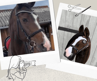Hobby Horse Koník podle fotografie