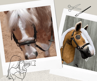 Hobby Horse Koník podle fotografie