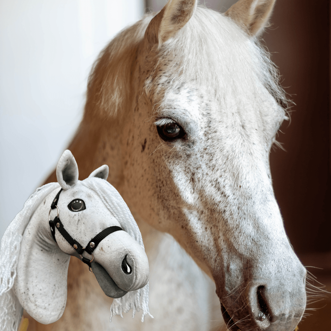 Detailní záběr bílého kropenatého koně vedle personalizované hračky Hobby Horse LarDen „Hobby Horse Koník podle fotografie“ s černou uzdečkou a přízovou hřívou.