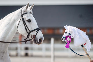 Hobby Horse Koník podle fotografie