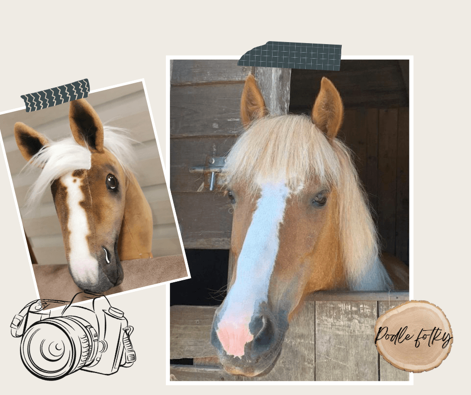 Dvě fotografie palomino koně s bílou hřívou doplněné ozdobnou páskou, kresbou fotoaparátu a textem „Pony Fotly“ tvoří tuto koláž – perfektní inspiraci pro vytvoření vašeho personalizovaného Hobby Horse Koník podle fotografie od Hobby Horse LarDen.