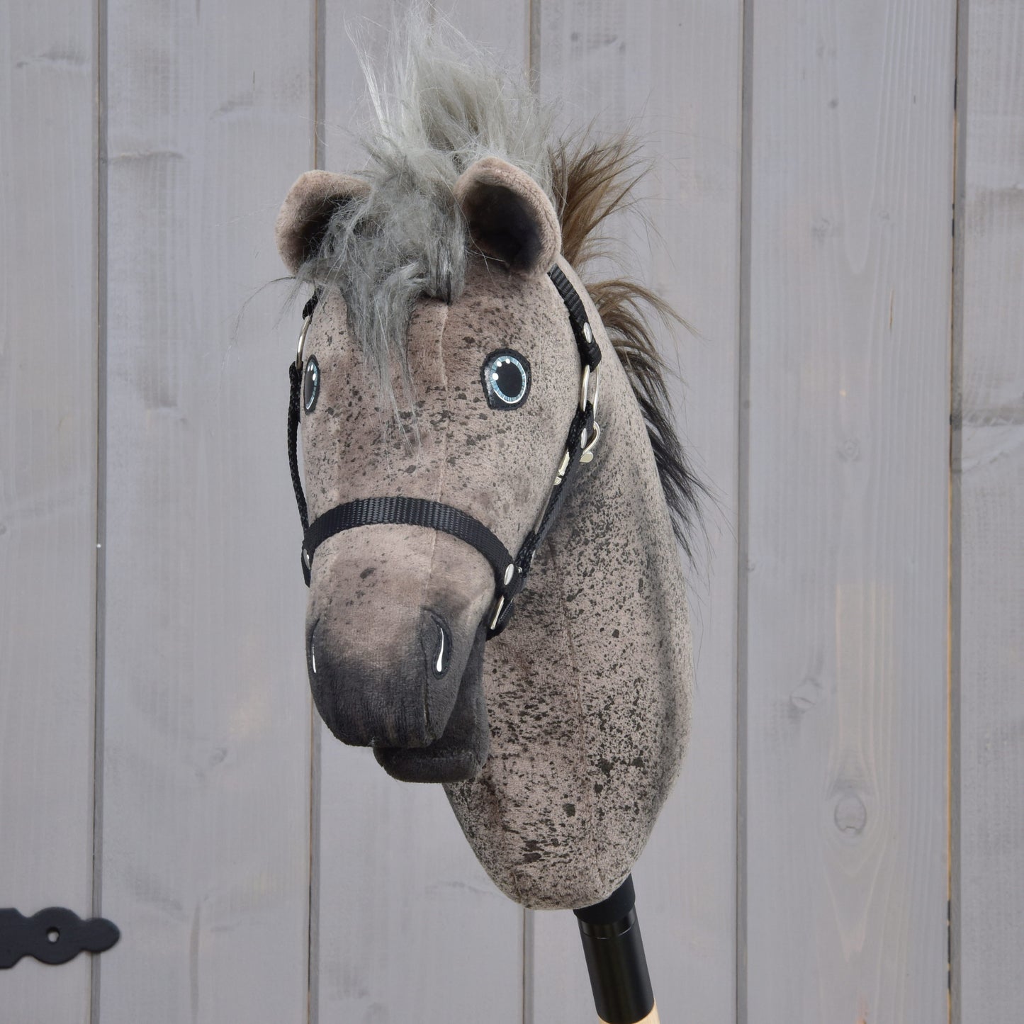 Hobby Horse Bolero s černou ohlávkou - velikost S od Hobby Horse LarDen, s plyšovým designem Appaloosy, šedou hřívou, černým postrojem a modrýma očima, na tyči a umístěný před světlým dřevěným plotem.