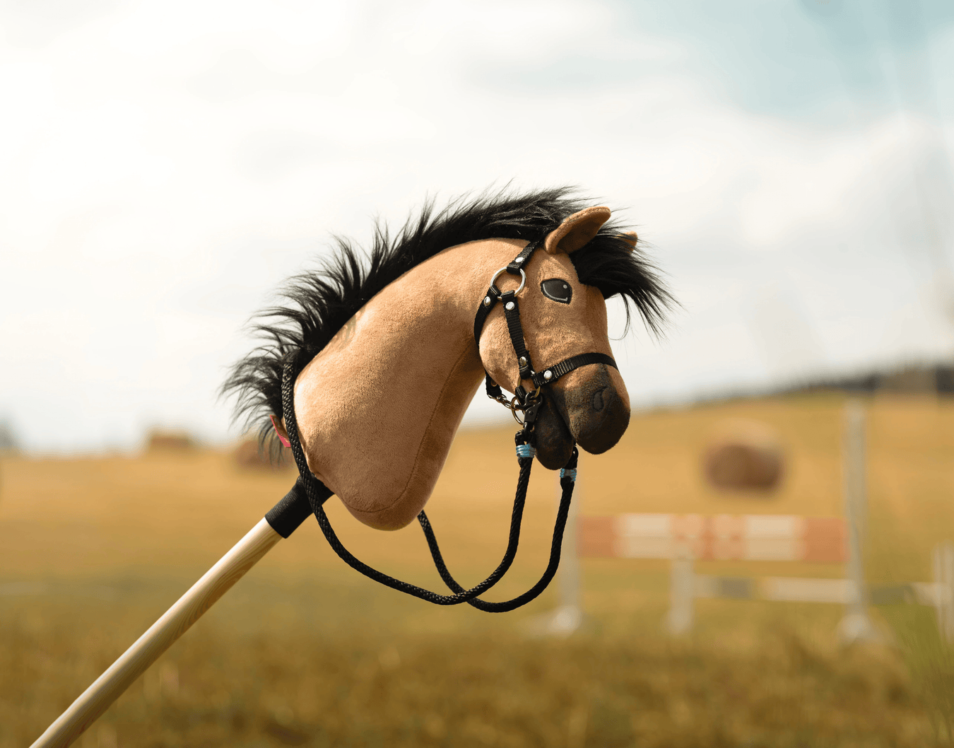 Detailní záběr na hračku pro Hobby Horsing: Hobby Horse se světle hnědým obličejem, černou hřívou a uzdečkou, nasazený na dřevěné tyči, venku v rozmazaném poli s balíky sena a lavičkou v pozadí.