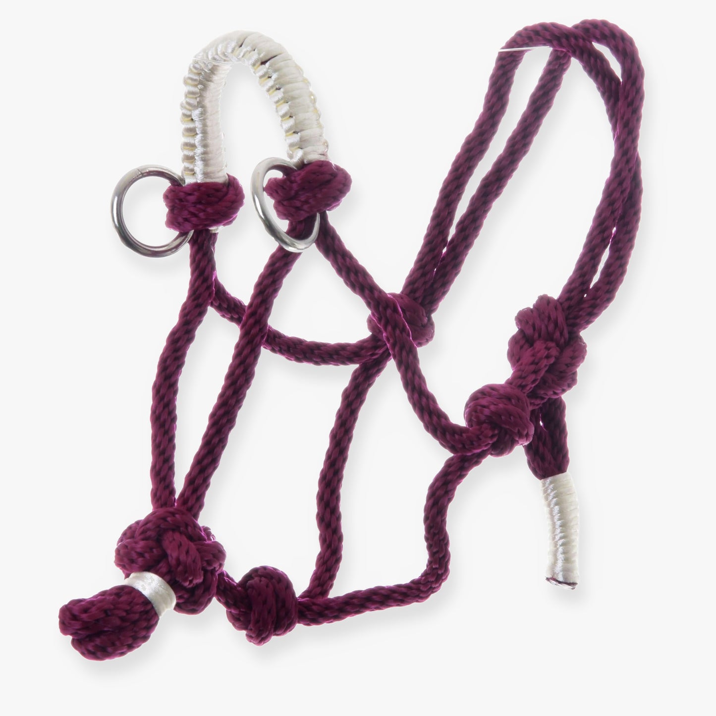 Parelka Czi-Czi od Hobby Horse LarDen, vínová provazová ohlávka s bílými omotanými akcenty a kovovými kroužky, na čistě bílém pozadí.