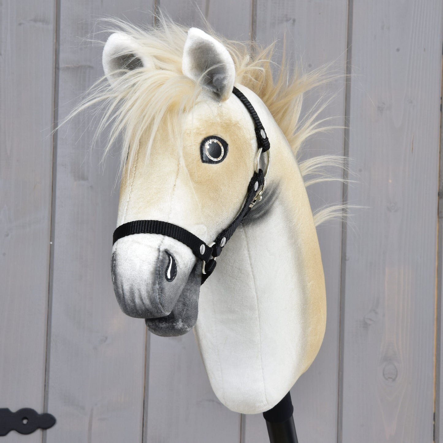 Hobby Horse Honey Pearl s černou ohlávkou - velikost S od Hobby Horse LarDen, plyšový Hobby Horse ve stylu oldenburského koně s béžovou hřívou, šedým čenichem a černou ohlávkou, nasazený na tyči před šedou dřevěnou stěnou.