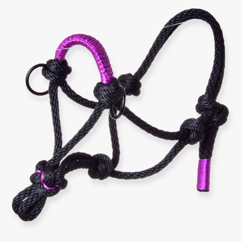 Parelka Violette