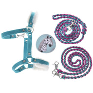 Set Perfect Combination Turquoise od Hobby Horse LarDen obsahuje tyrkysovou ohlávku s kožešinovým polstrováním, odznak se strakatým koněm a dvě pletená vodítka v růžové, tyrkysové a černé barvě se stříbrnými karabinami na bílém pozadí.