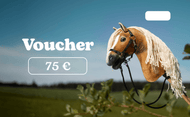 Dárkový poukaz Hobby Horse €75 od Hobby Horse LarDen s plyšovým Hobby Horse s uzdečkou na zeleném pozadí, s nápisy „Voucher“ a „75 €“ v bílé barvě na modré obloze. Doručeno jako elektronický PDF poukaz.