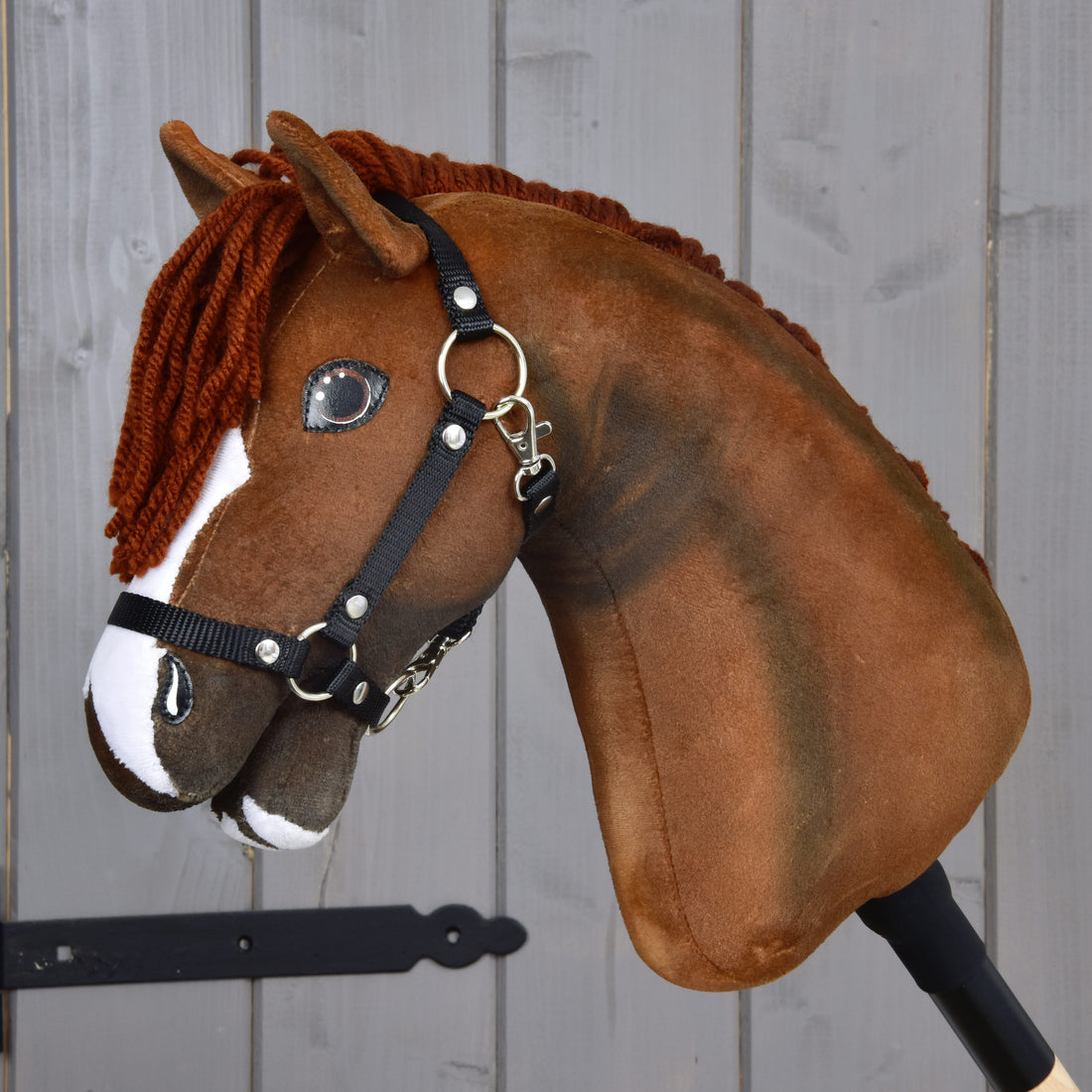 Hobby Horse Cooper s černou ohlávkou
