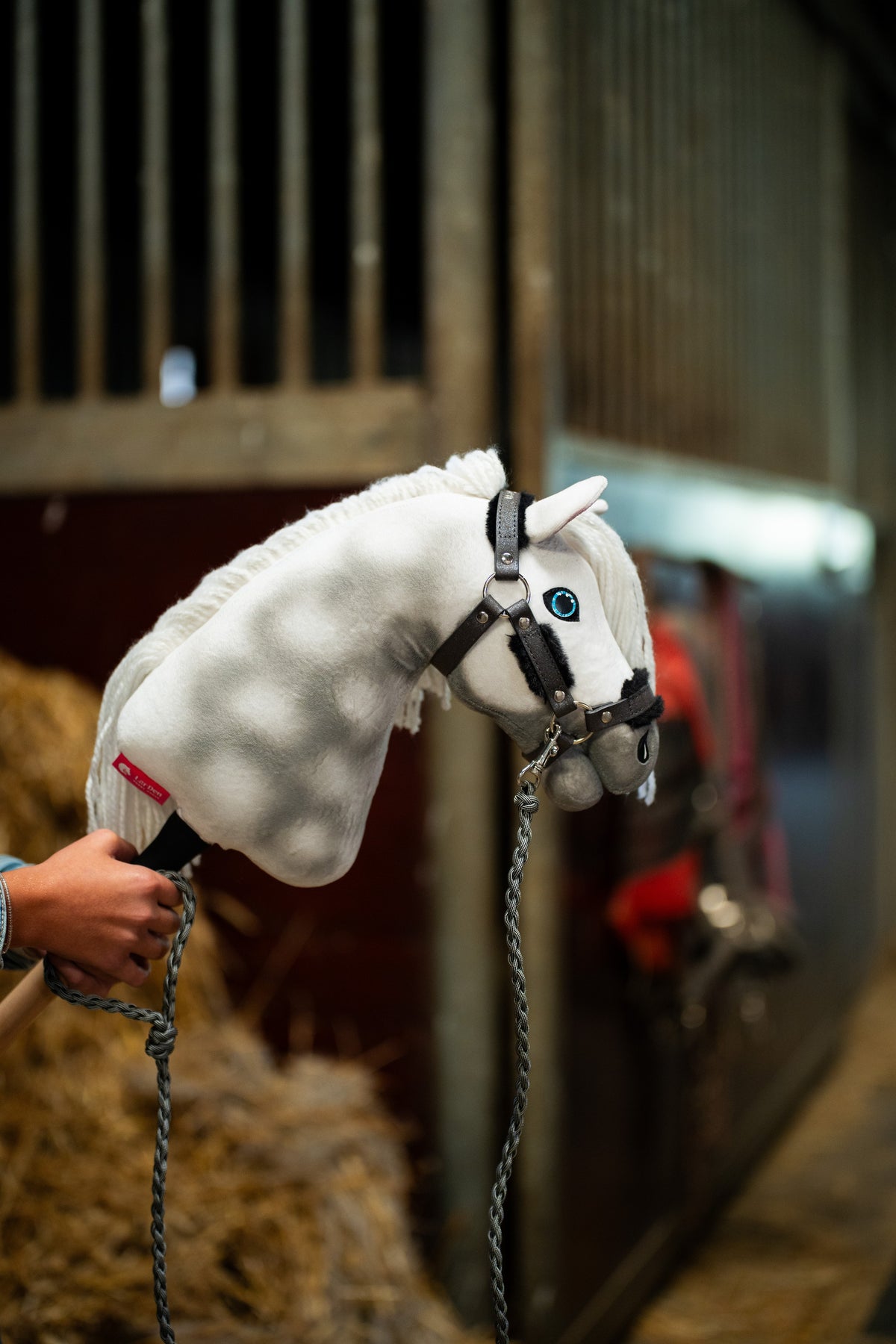 Hlava Hobby Horse Elektra s černou ohlávkou od Hobby Horse LarDen držená u boxů, v pozadí je rozmazaný kůň v dece, bíle grošovaný plyš, modré oko, bílá přízová hříva, s ohlávkou Graphite Full s kožešinou z koženky a pleteným vodítkem