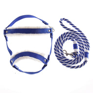 Set Essential Blue od Hobby Horse LarDen s modro-bílým polstrovaným postrojem inspirovaným koňskými ohlávkami, doplněný ladícím pruhovaným vodítkem, obojí úhledně zobrazené na bílém pozadí.