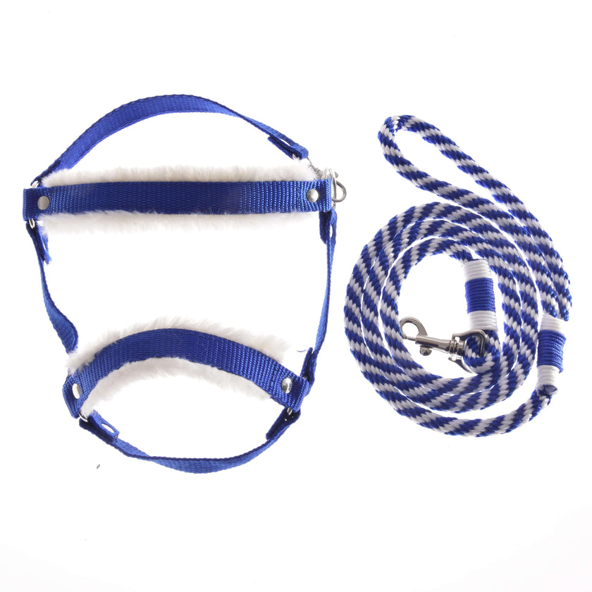 Set Essential Blue