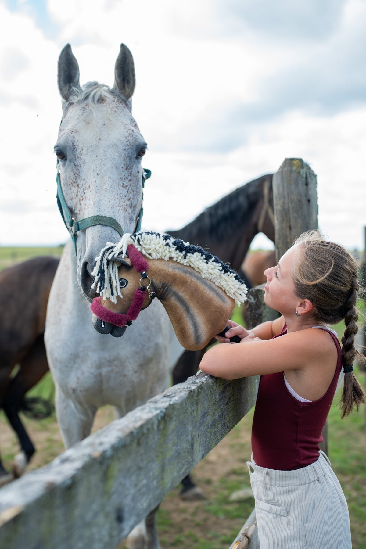 Lifestyle photo: a girl in a maroon top leans over a paddock fence and holds the Hobby Horse Ozzy with Black Halter by Hobby Horse LarDen up to a real grey horse - bay plush head, cream and black yarn mane - shown here with the fur-lined Teddy Maroon halter.