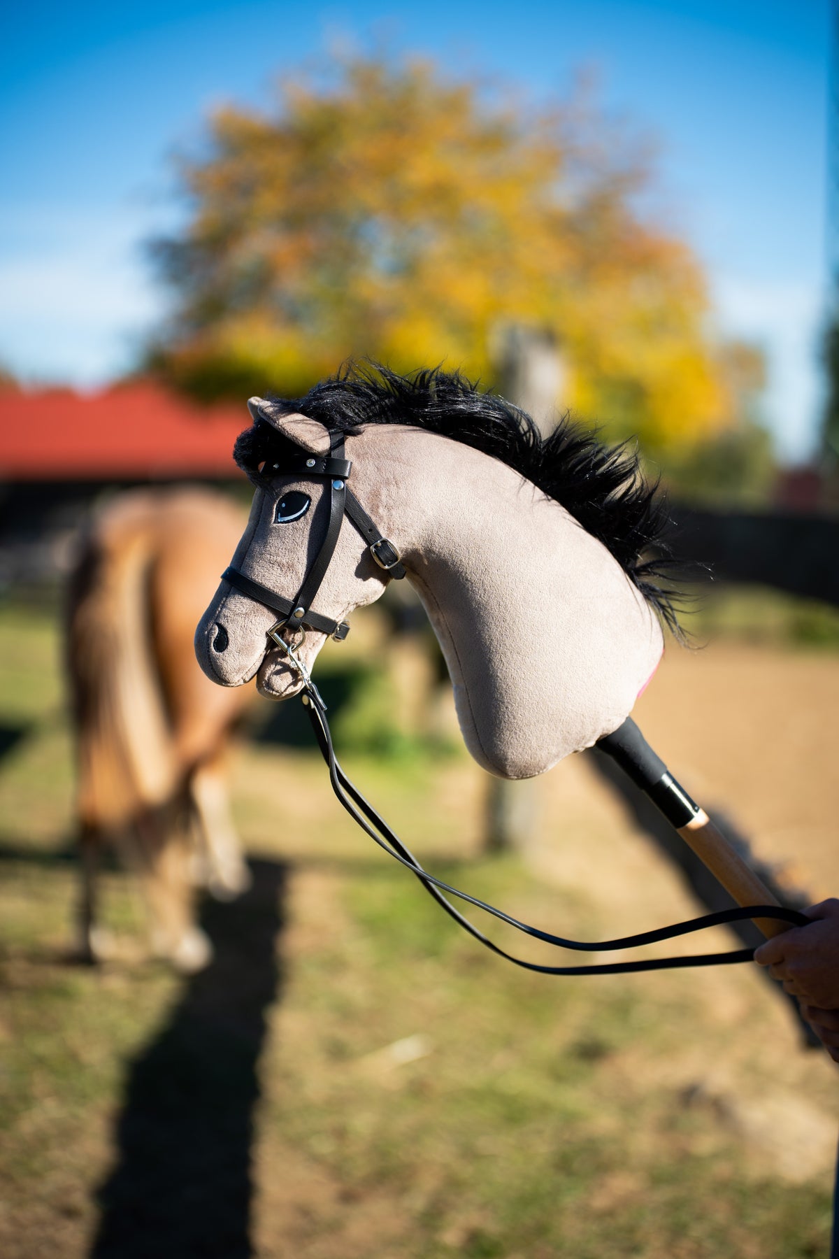 Hlava Hobby Horse Thor s Black Ohlávkou od Hobby Horse LarDen na slunné ohradě, z šedého plyše s černou přízovou hřívou, s černou uzdečkou Complete s diamanty a otěžemi