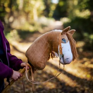 ❤️Tento Hobbík je jedním z prvních limitovaných koníků vůbec. @kht_jedlici Lucinka se o něj neskutečně krásně stará. Je...