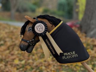 Set na @pragueplayoffs do O2. Cach me if you Can do tomboly. Kokardy pro všechny účastníky v Hobby Horse zóně. Dečka pro...