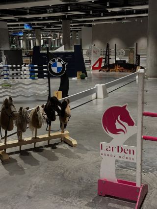 🏆od zítřka se na vás těšíme společně s @ceska_hobby_horsing_asociace v O2 na @pragueplayoffs