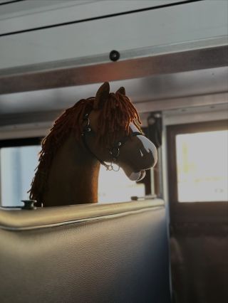 🥰na naše Hobby Horse naštěstí převozní kamion nepotřebujeme🥰 ale že jim to ale sluší ❤️❤️❤️