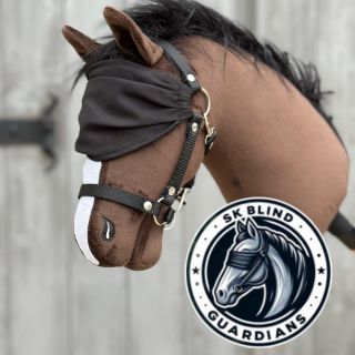 😍milujeme maskoty. Je to vždy pro nás velká výzva a tahle byla obrovská. Jedná se o poloslepého koně. Mirador je maskot...