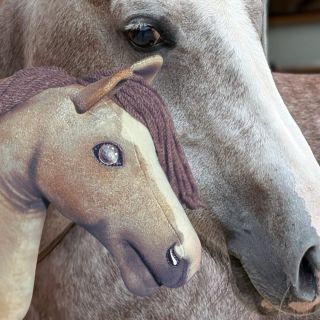 💯tento nádherný koník podle fotky byl opravdový oříšek. Použili jsme několik technik probarvení a výsledek opravdu stojí...